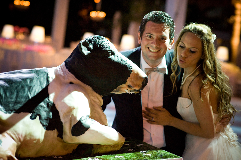 wedding_cow_cake