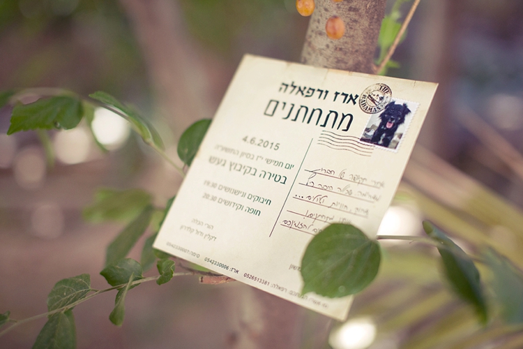 Kibbutz Ga'ash wedding