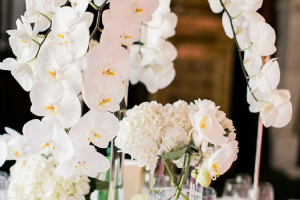 Blue Sky Flowers_0003