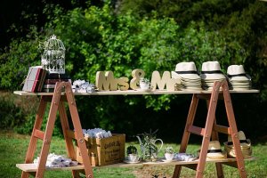 Craspedia Designs_0002