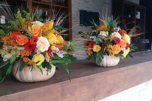 Craspedia Designs_0009