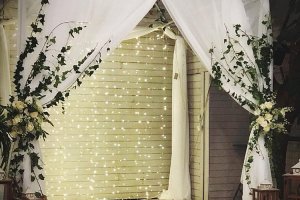 Craspedia Designs_0011