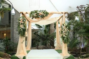 Craspedia Designs_0012