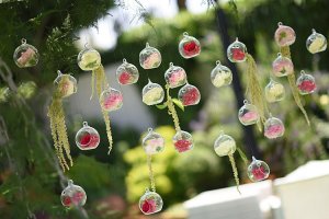 Craspedia Designs_0013