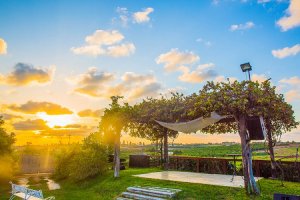 Herschel Gutman_0018