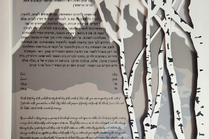 Jennifer-Kaplan-Designs_0001