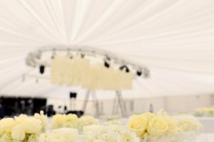 Linda-Abrahams_0002