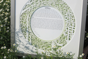 Melanie-Dankowicz-2023_0006