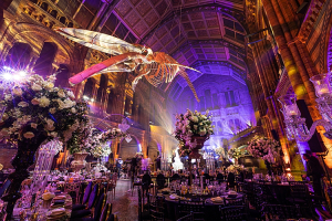 Natural-History-Museum_0005