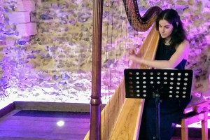 Noa-Harpist_0008