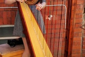 Noa-Harpist_0009