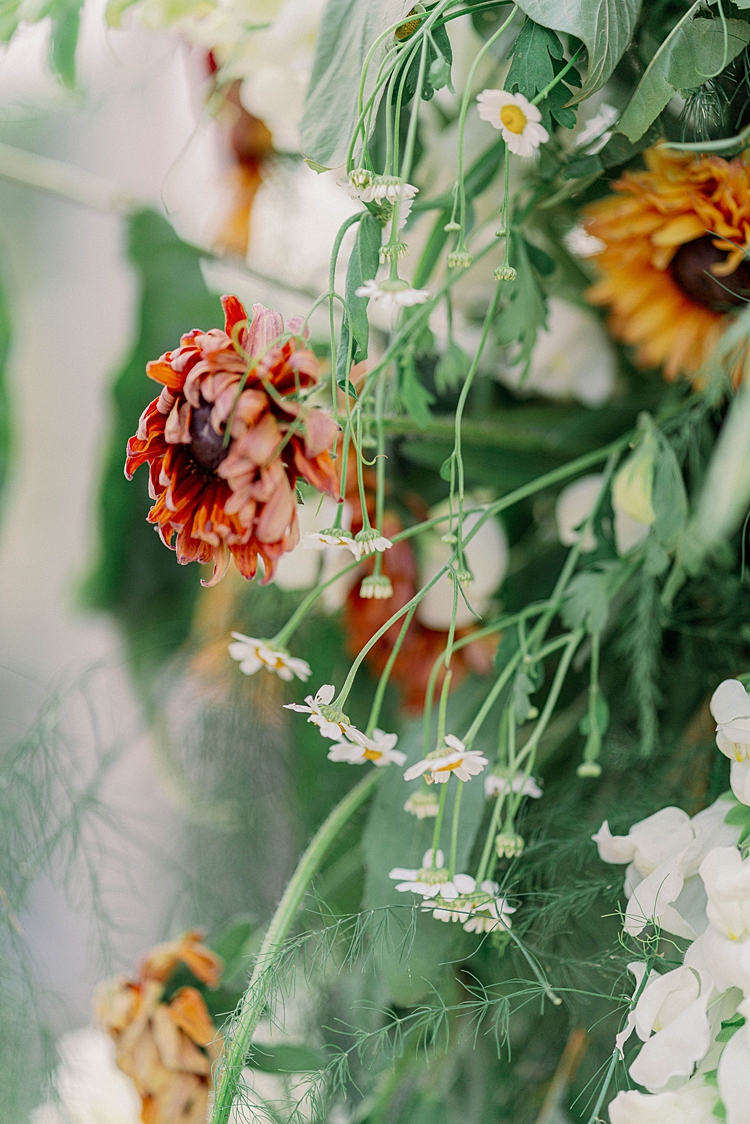 Isabel-and-Kyle-Christiansons-Nursery-La-Conner-WA-USA