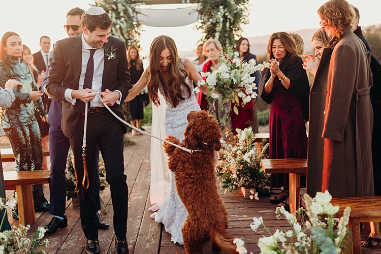 Laura and Danny, Dos Pueblos Orchid Farm, Santa Barbara, California, USA