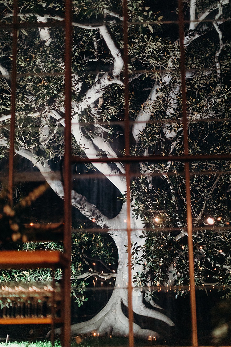 Laura and Danny, Dos Pueblos Orchid Farm, Santa Barbara, California, USA