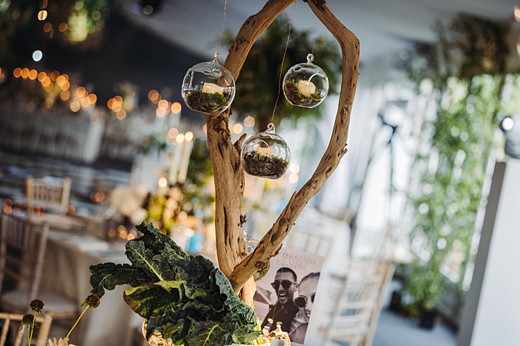 Saydee and Eldar, Braxted Park Estate, Witham, UK