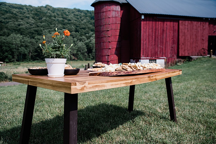 Shoshana and Mark, River Mountain, Everett, Pennsylvania, USA