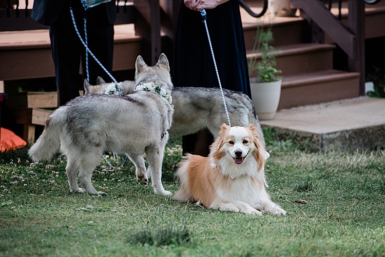 Shoshana and Mark, River Mountain, Everett, Pennsylvania, USA